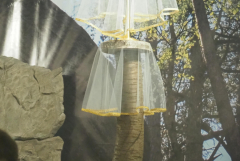 2023.04.07. LITURGIA MĘKI PAŃSKIEJ